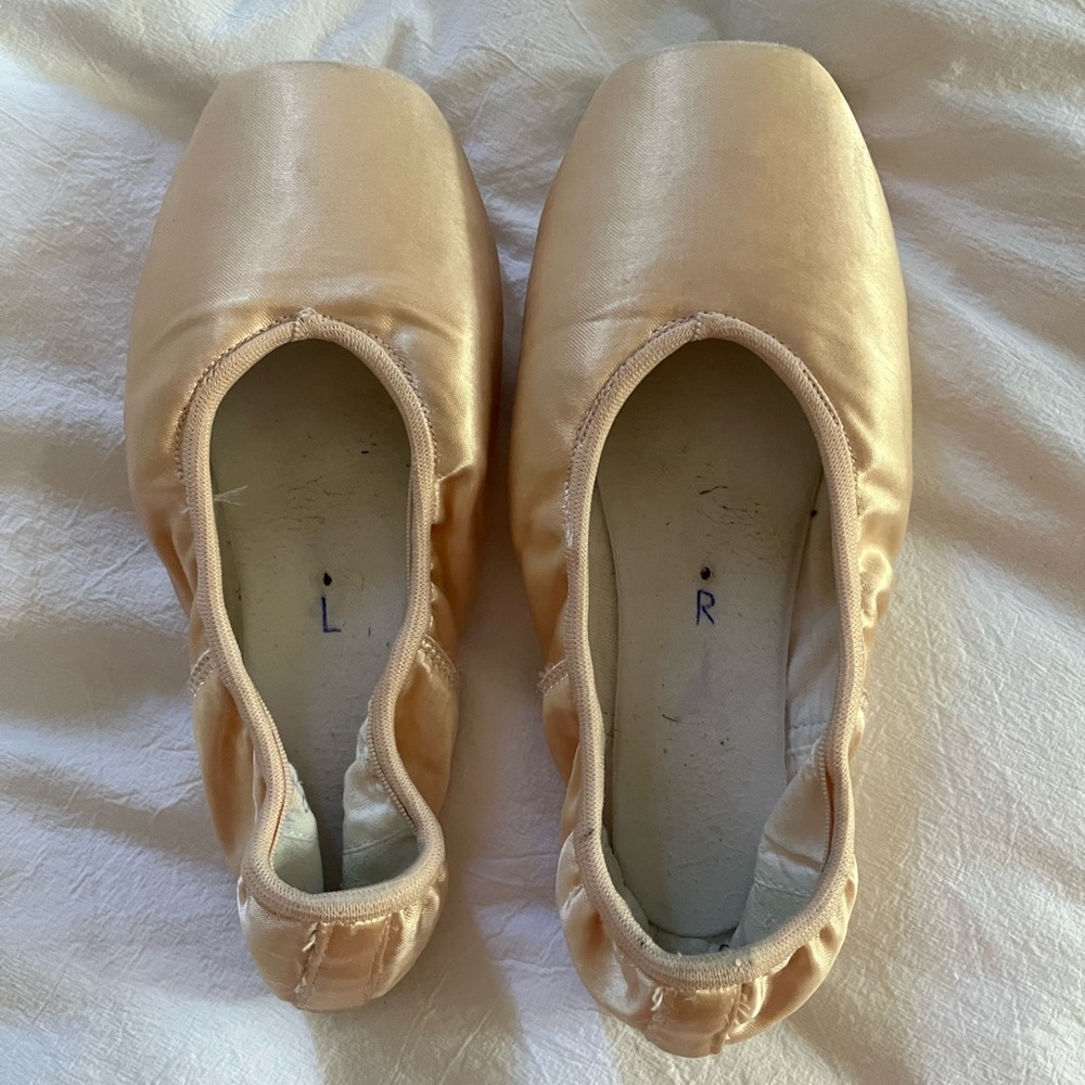 nikolay streampointe pointe shoes